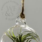 Hanging Glass Terrarium Globe Votive Holder Large - 3 ¾"