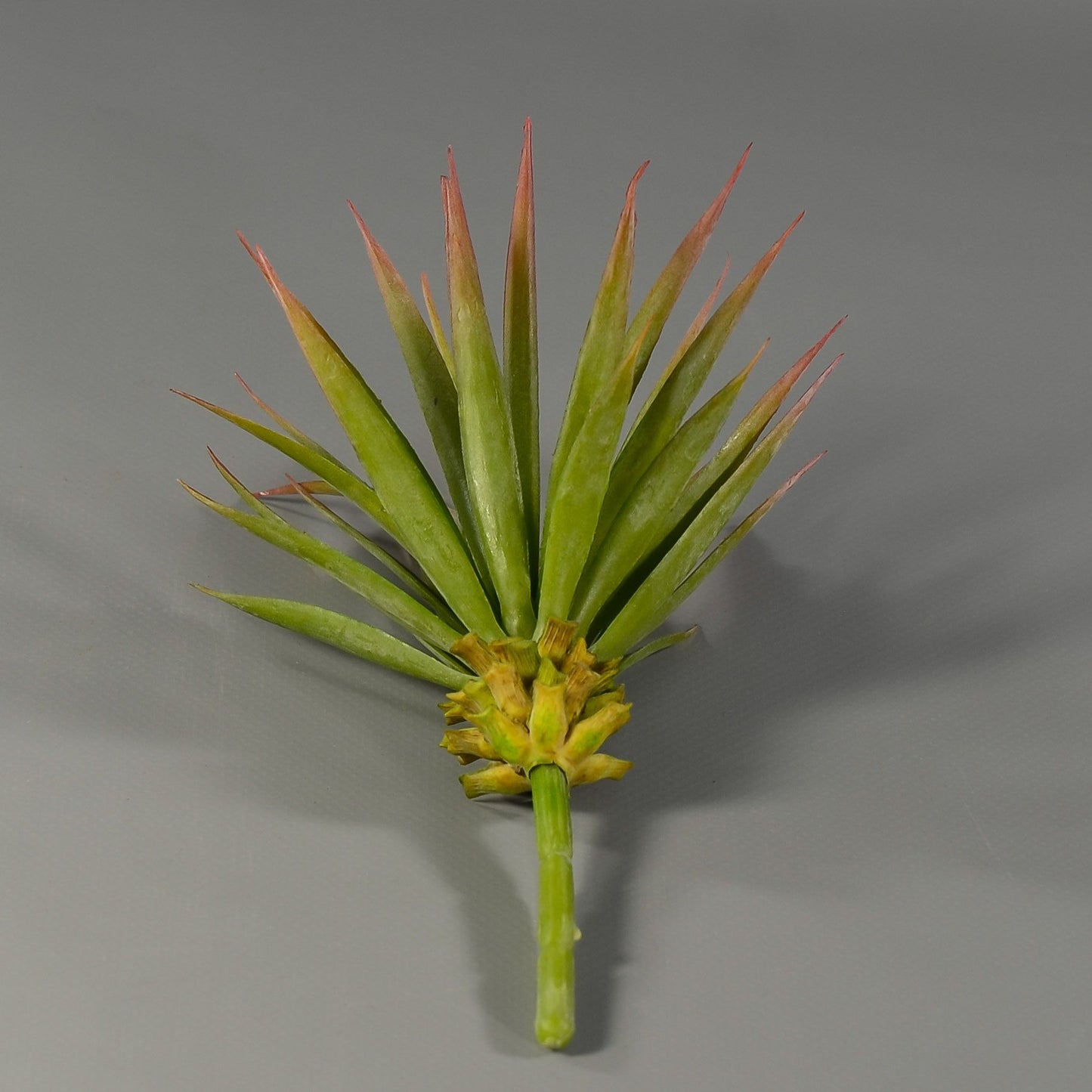 6.5" Yucca Succulent Pick Green