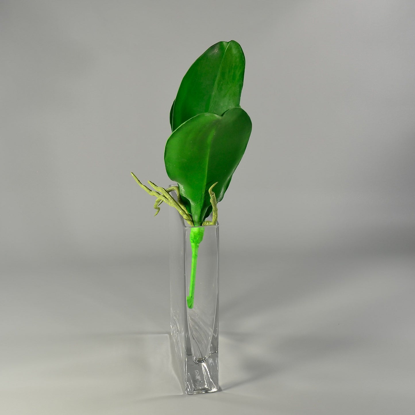 Faux Phalaenopsis Plant Leaf pick - Green