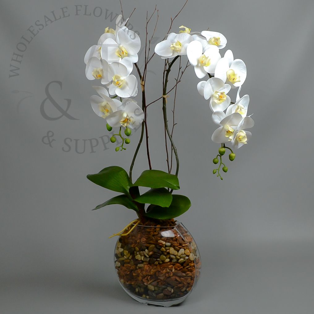 Real Touch Orchid Phalaenopsis Cream and Lavender 39"