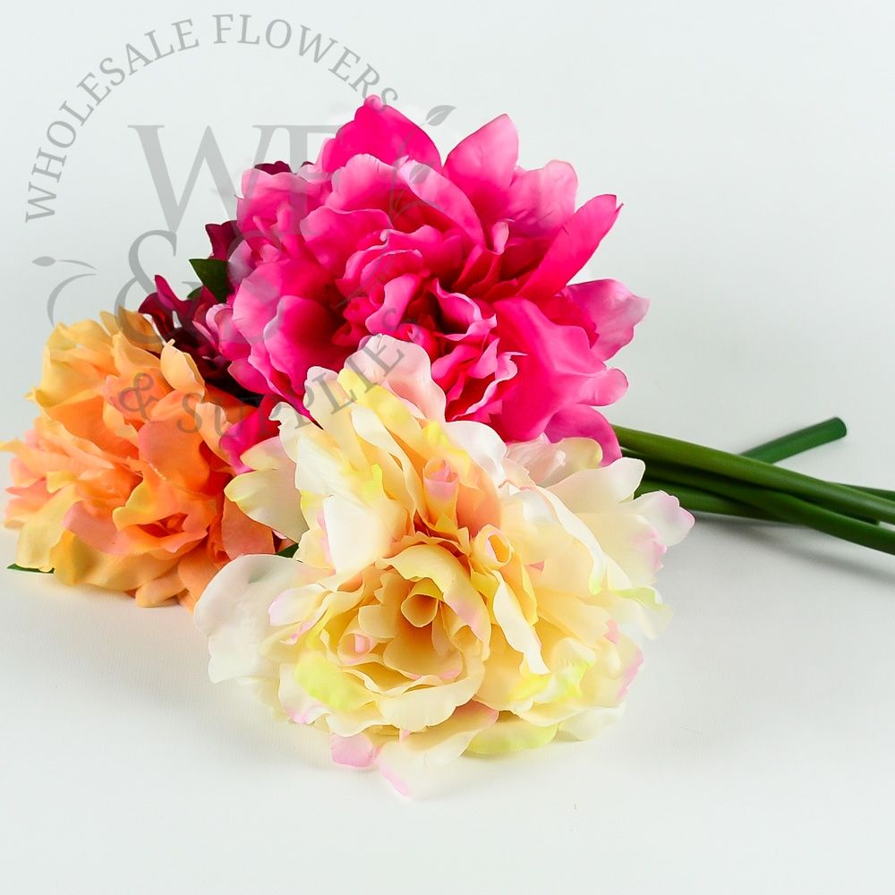 Silk Peonies Assorted Colors