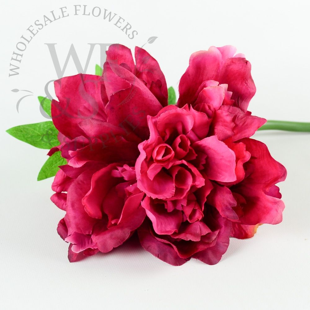 Silk Peonies Assorted Colors