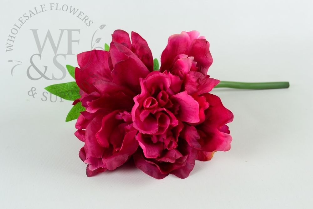 Silk Peonies Assorted Colors