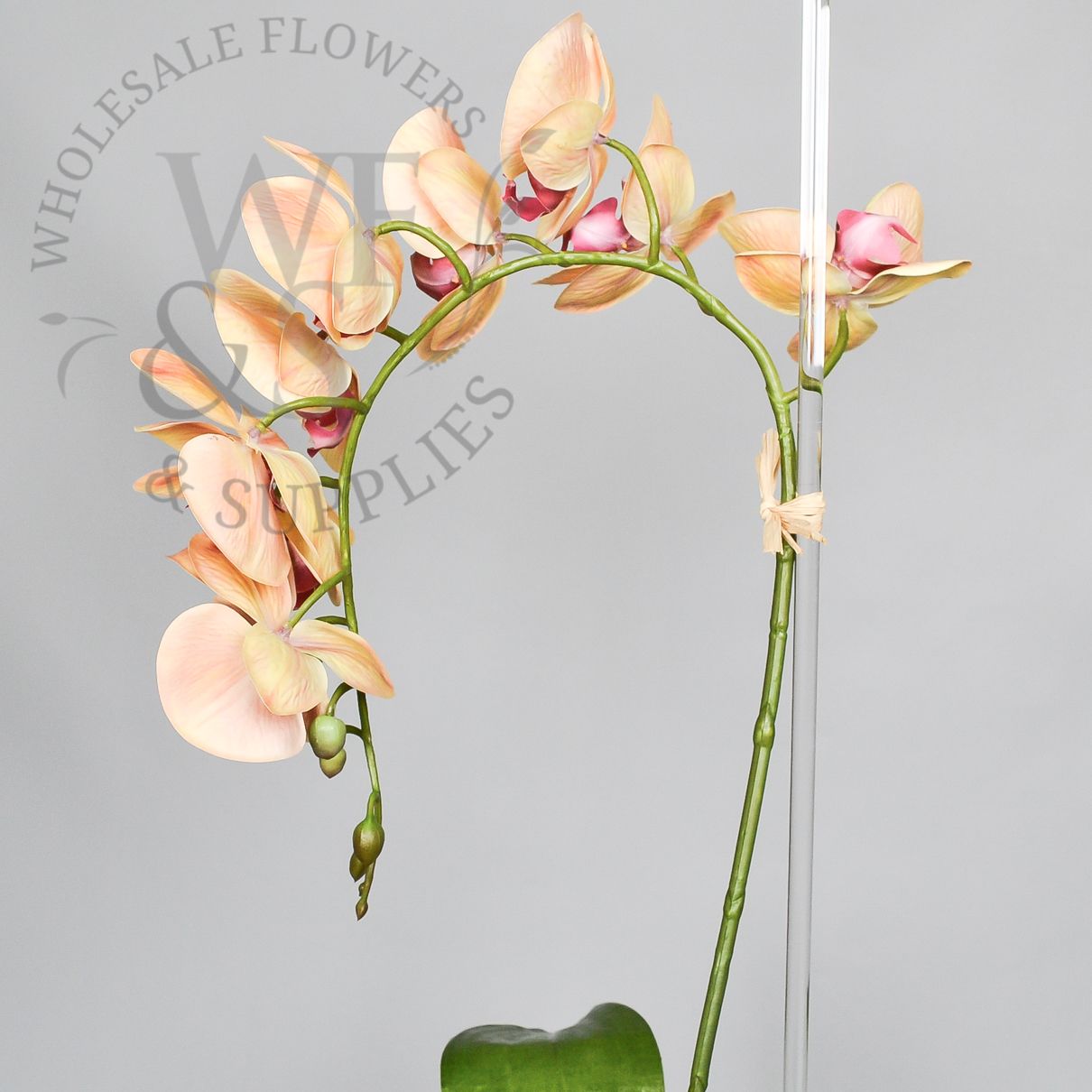 36" Phalaenopsis Orchid Stem Synthetic- Peach w/ Hot Pink Center