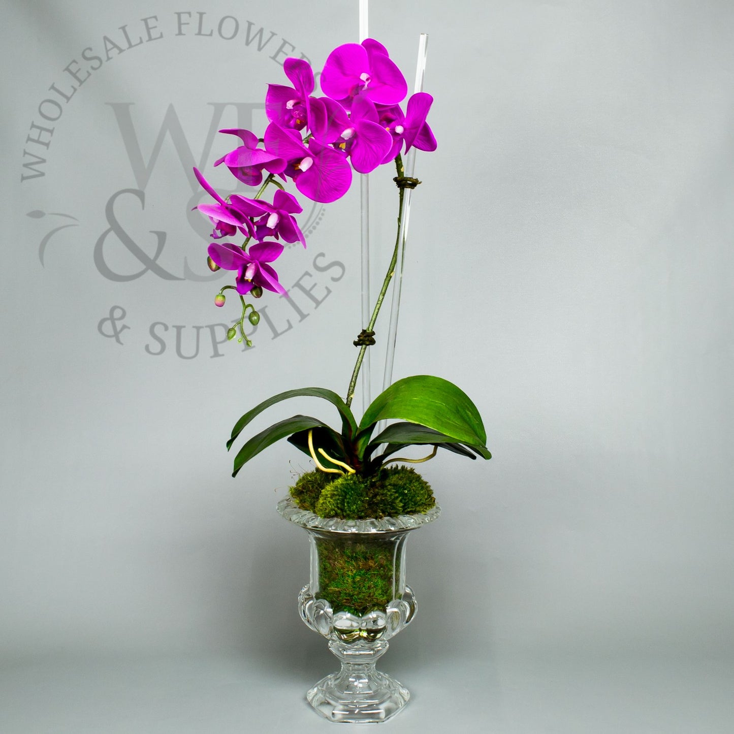 Real Touch Orchid Phalaenopsis Cream and Lavender 39"