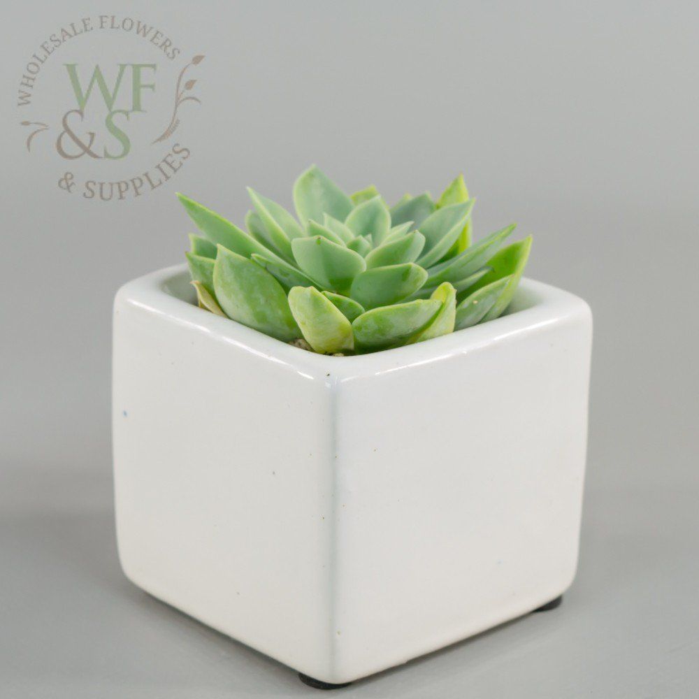 Matte Ceramic Cube Vase in White 3"