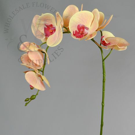 36" Phalaenopsis Orchid Stem Synthetic- Peach w/ Hot Pink Center