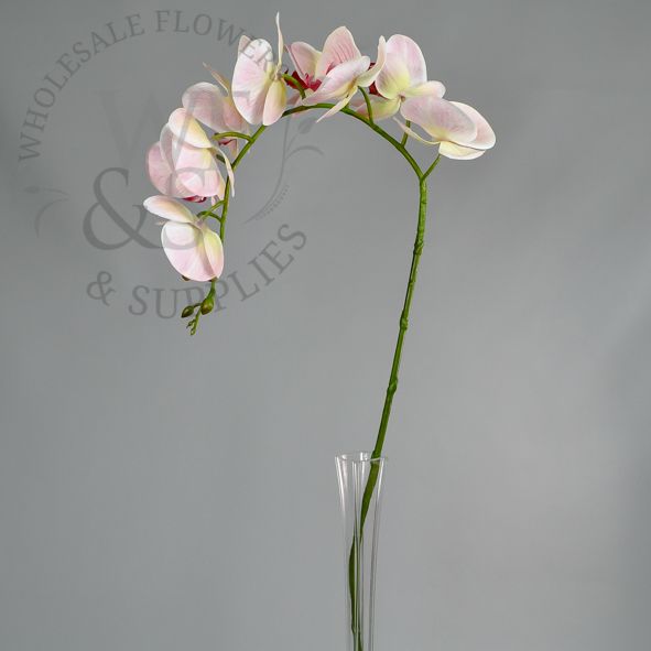 Artificial 36" Phalaenopsis Orchid Stem - Pink "Real Touch"