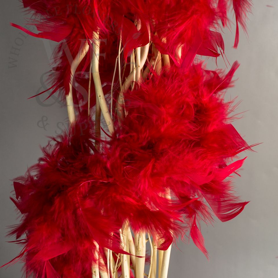 Feather Boa in Assorted Colors