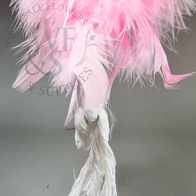 Feather Boa in Assorted Colors