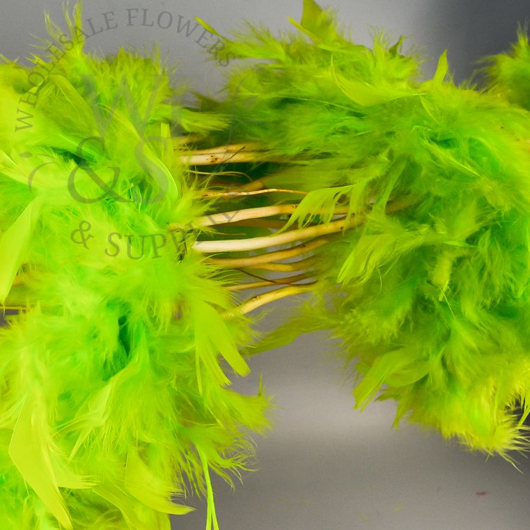 Feather Boa in Assorted Colors