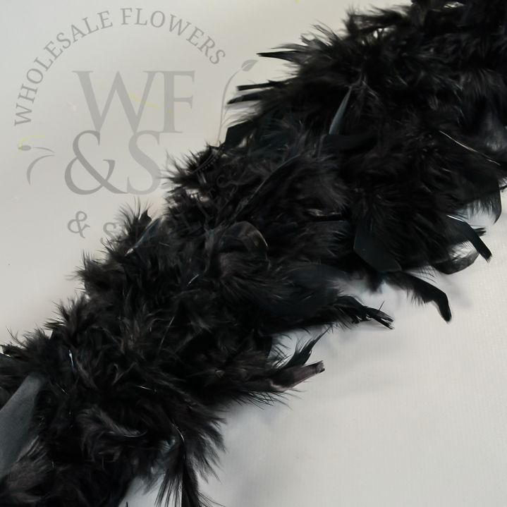 Feather Boa in Assorted Colors