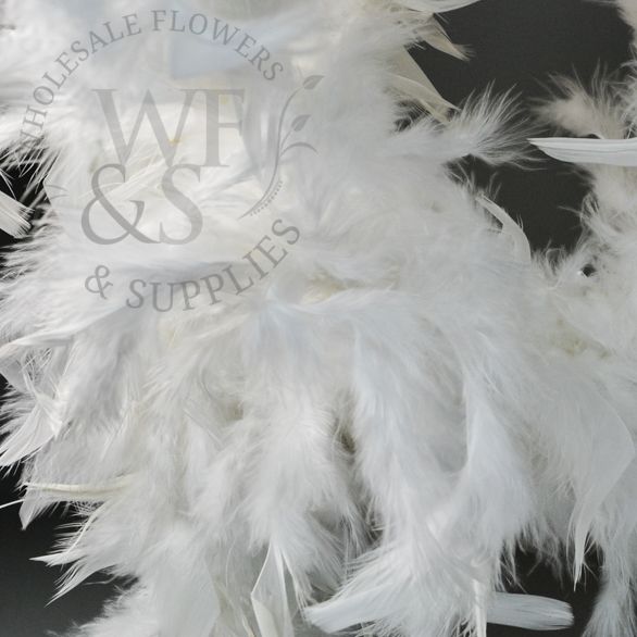 Feather Boa in Assorted Colors