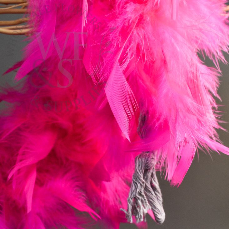 Feather Boa in Assorted Colors