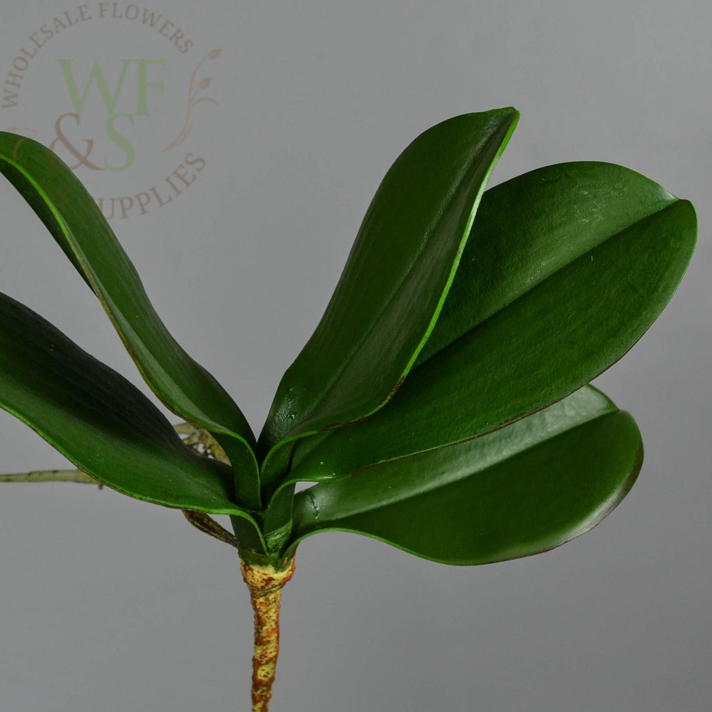 Faux Phalaenopsis Plant Leaf pick - Green