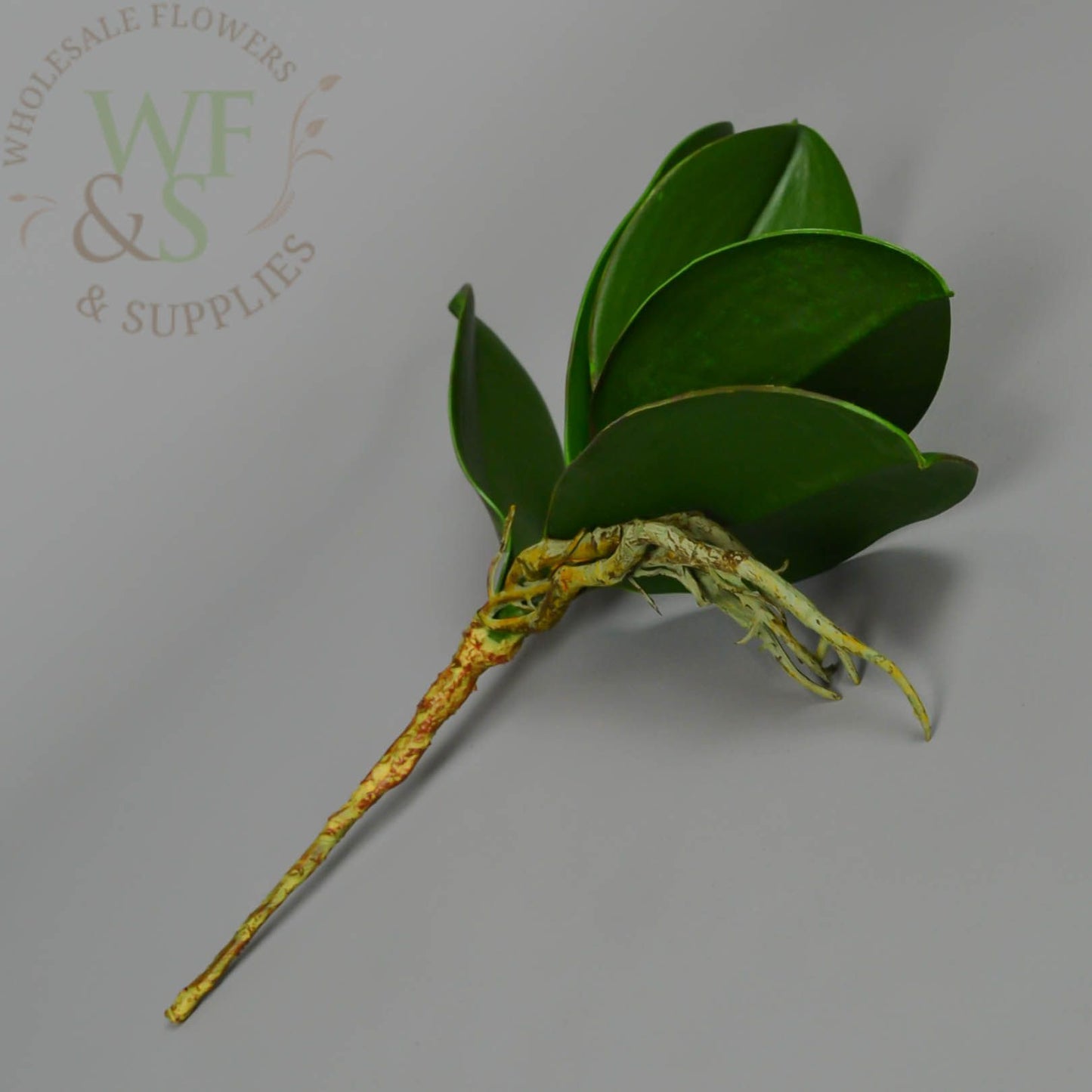 Faux Phalaenopsis Plant Leaf pick - Green