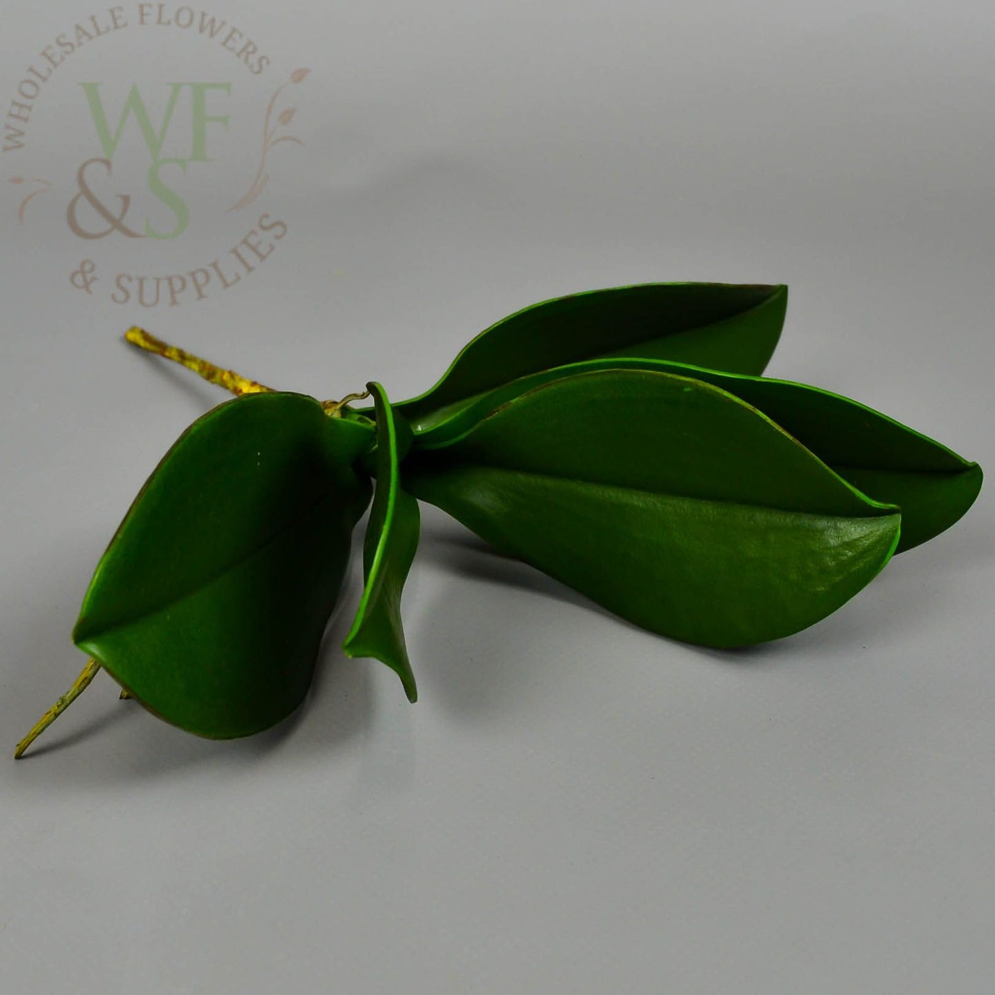 Faux Phalaenopsis Plant Leaf pick - Green