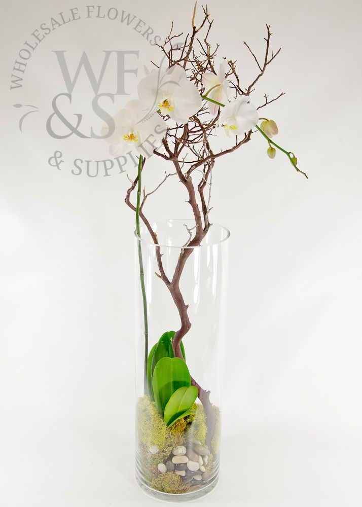 24x4 Glass Cylinder Vase