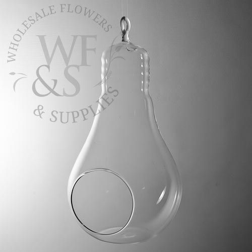 Hanging Glass Light Bulb Vase 7"