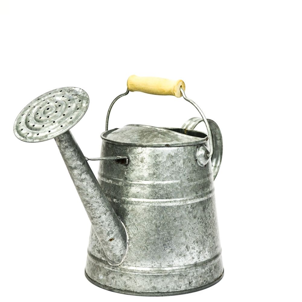 Galvanized Watering Can Container with Wood handle