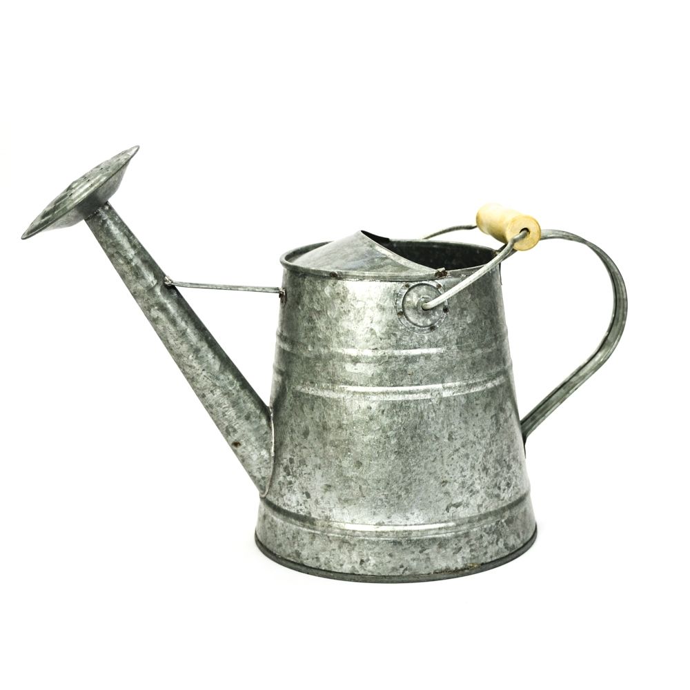 Galvanized Watering Can Container with Wood handle