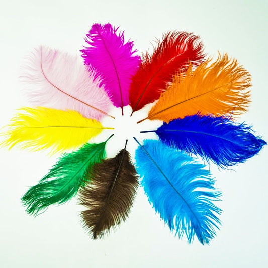 Colored Ostrich Feather Drabs 5 stems