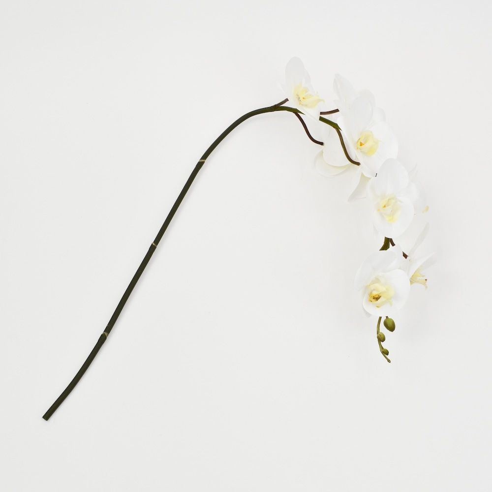 39 Inch Real Touch Phalaenopsis - Cream