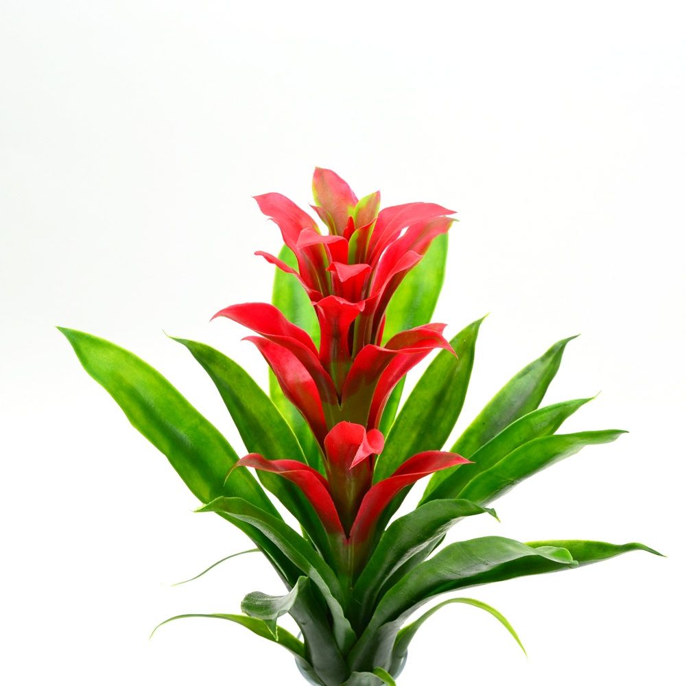 Bromeliad Synthetic Plant Pick