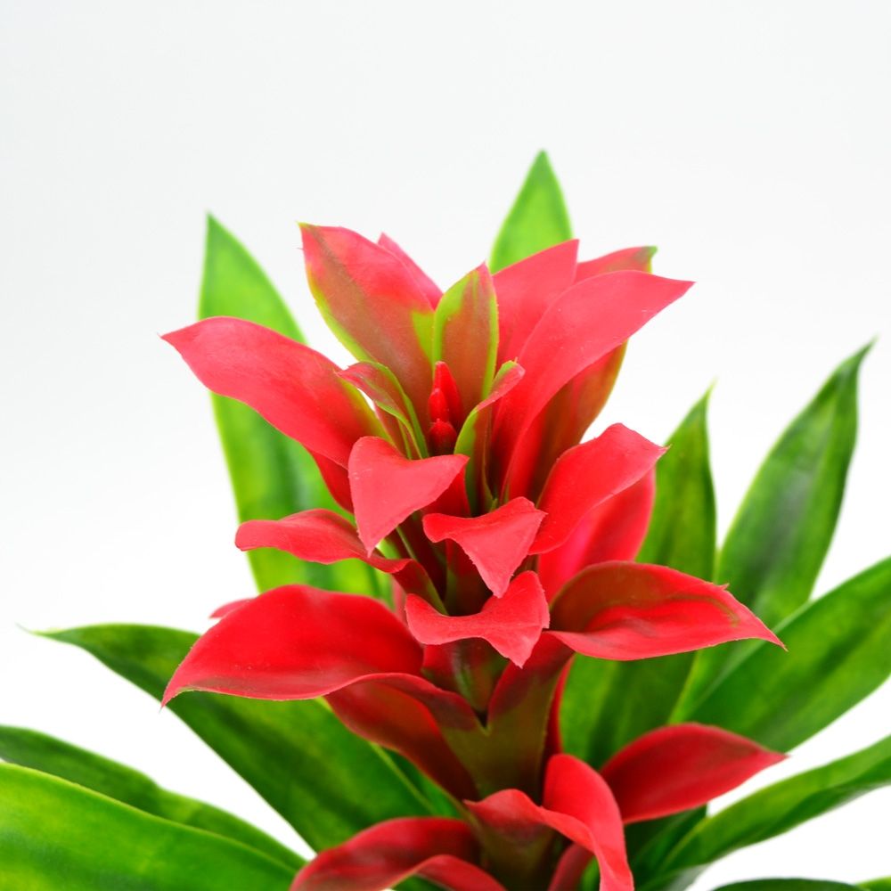 Bromeliad Synthetic Plant Pick