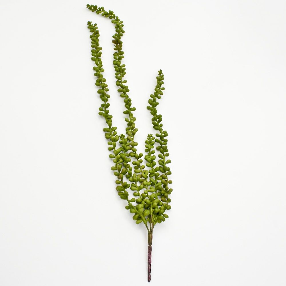 25 inch Pearl String Succulent Pick