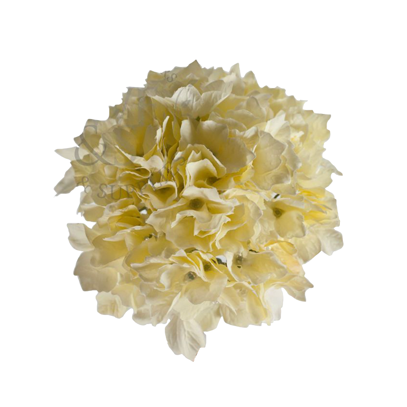 Small Silk Hydrangea Cream