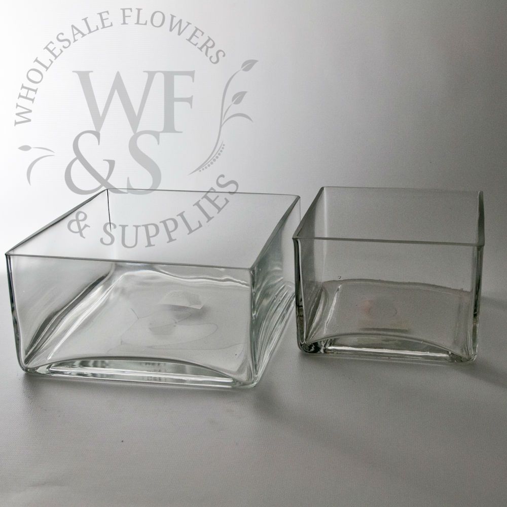 Square Glass Low-Dish Garden 4x6x6