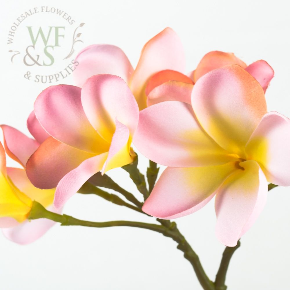 Pink Silk Plumeria Flowers on Stem 12"