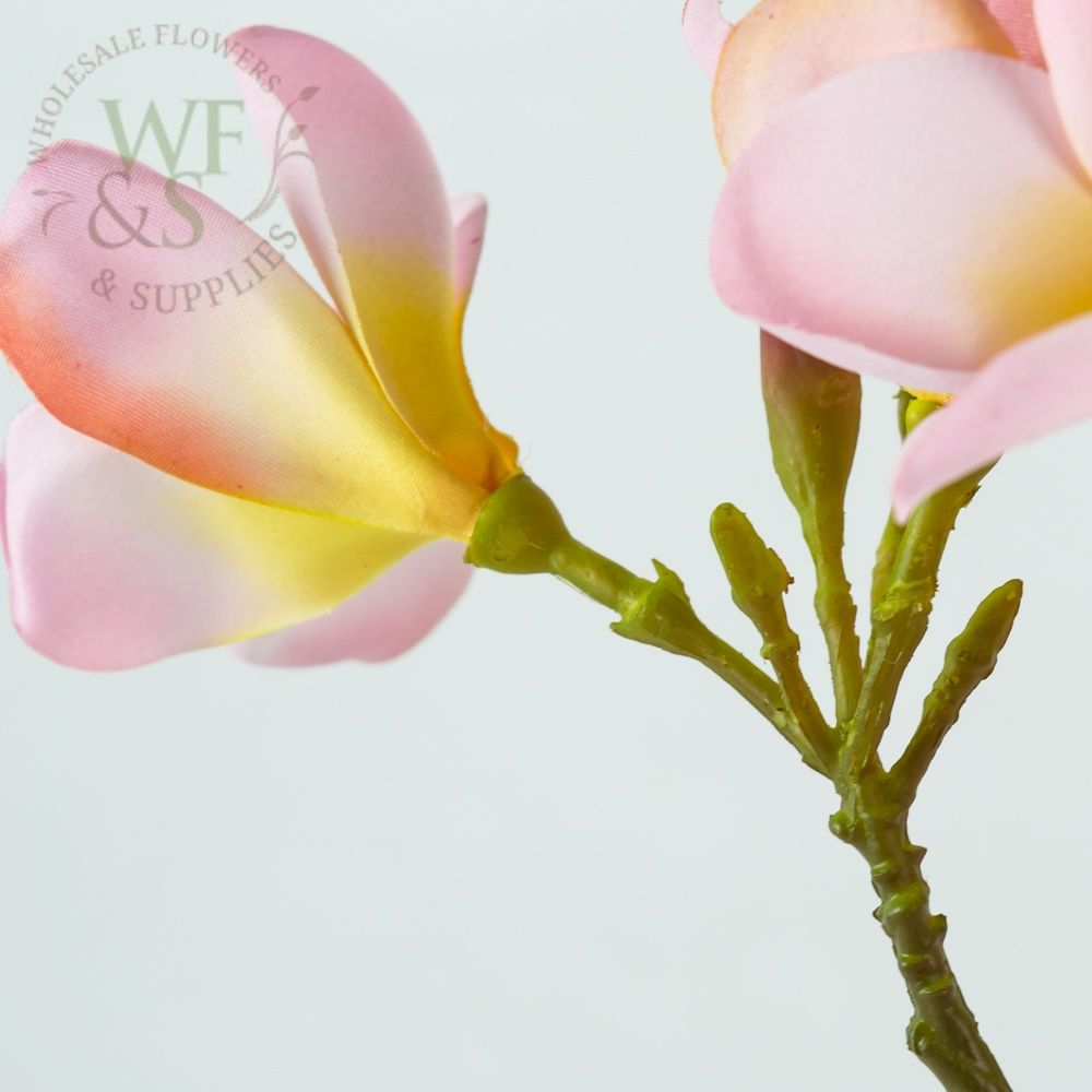 Pink Silk Plumeria Flowers on Stem 12"