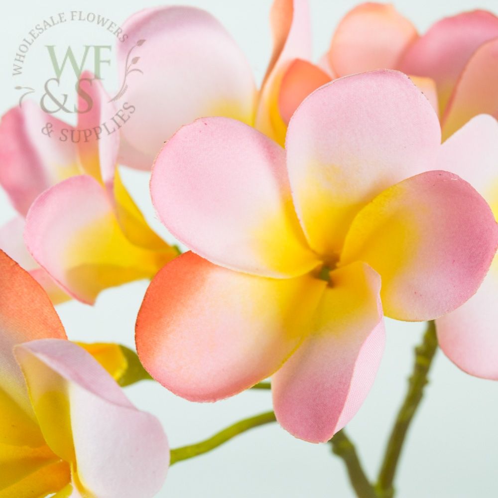 Pink Silk Plumeria Flowers on Stem 12"