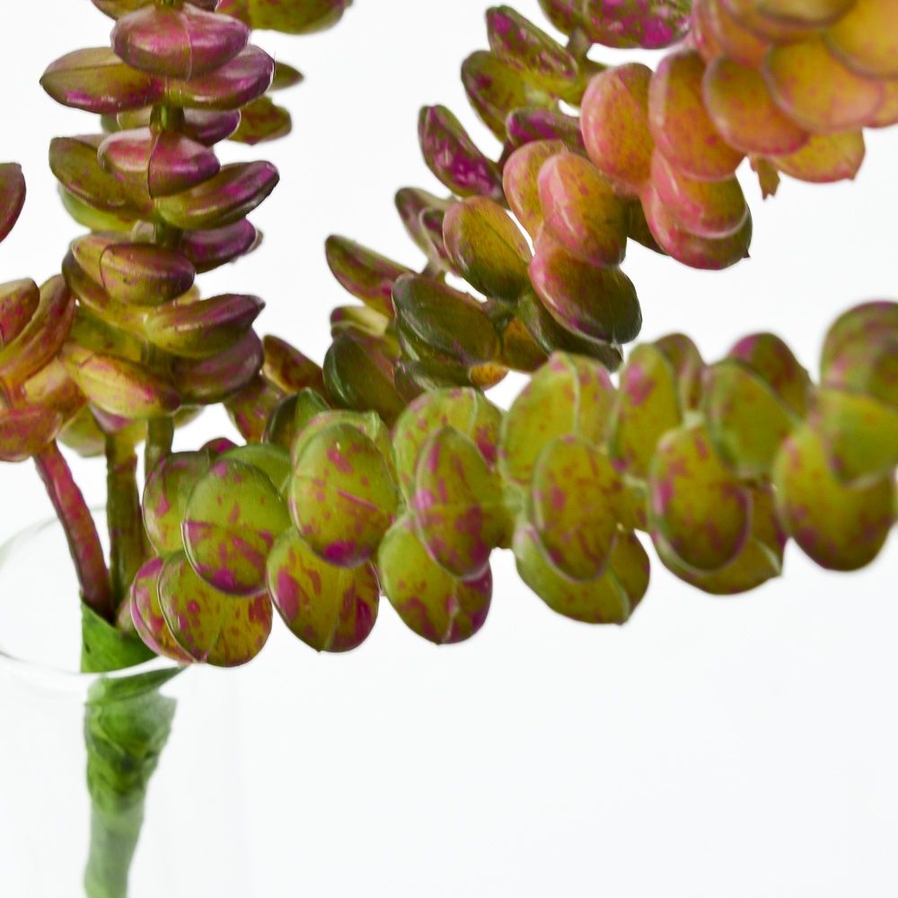 10 inch Red Hanging Sedum Succulent Pick