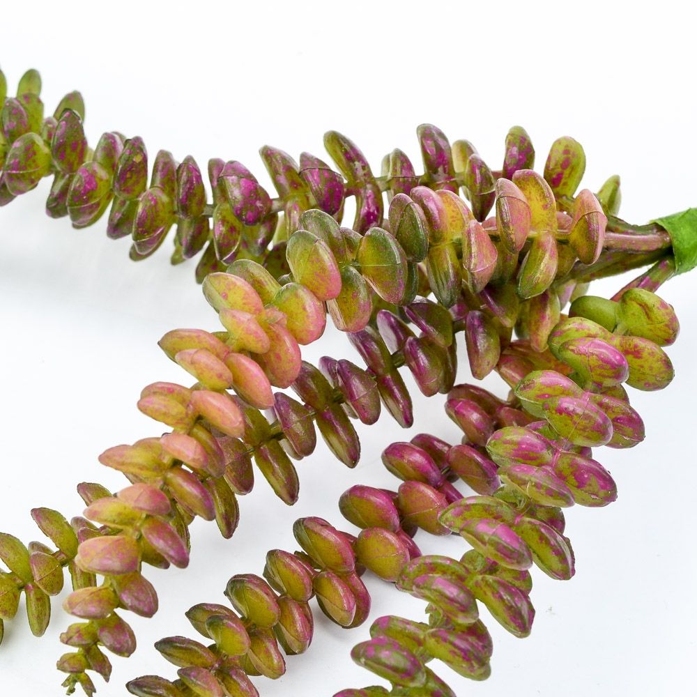 10 inch Red Hanging Sedum Succulent Pick