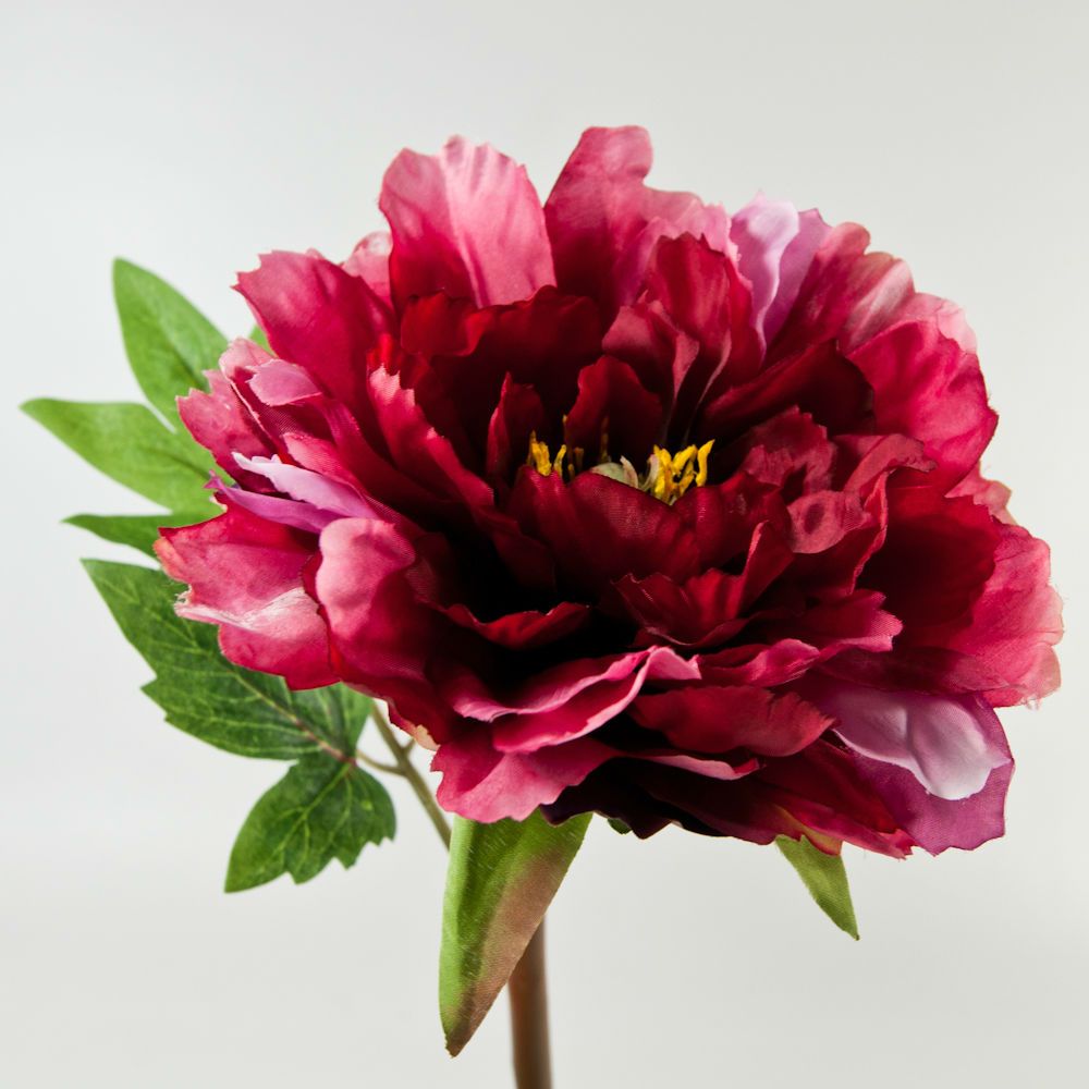 Silk Peonies Assorted Colors